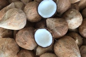 Raw mature coconut prices hit new peak