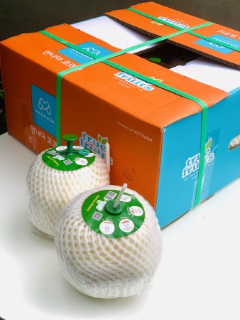 Press Coconuts