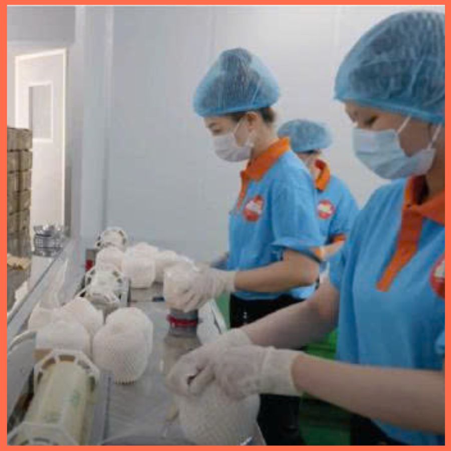 Expert Production & Reliable Service